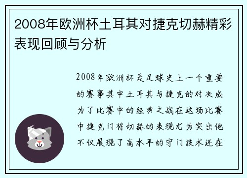 2008年欧洲杯土耳其对捷克切赫精彩表现回顾与分析